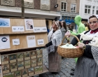 Carnavals optocht Nijmegen 2017