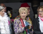 Carnavals optocht Nijmegen 2017