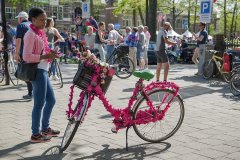 Giro d' Italia 2016 Nijmegen | Foto © Henk Beenen