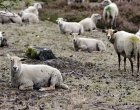 Hatertse en Overasseltse Vennen | Foto © Henk Beenen