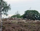 Hatertse en Overasseltse Vennen | Foto © Henk Beenen