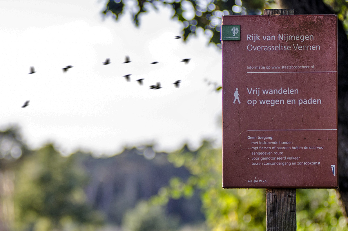 Hatertse en Overasseltse Vennen | Foto © Henk Beenen