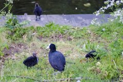 Kronenburgerpark | Foto © Henk Beenen