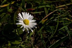 A sunny afternoon